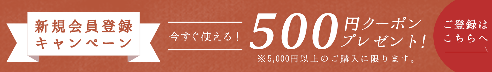 新規会員登録キャンペーン　もれなく今すぐ使える500円クーポンプレゼント